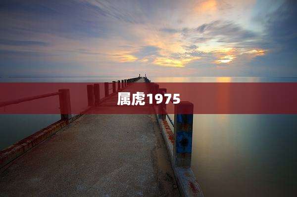 属虎1975