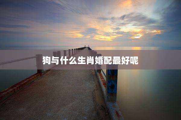 狗与什么生肖婚配最好呢