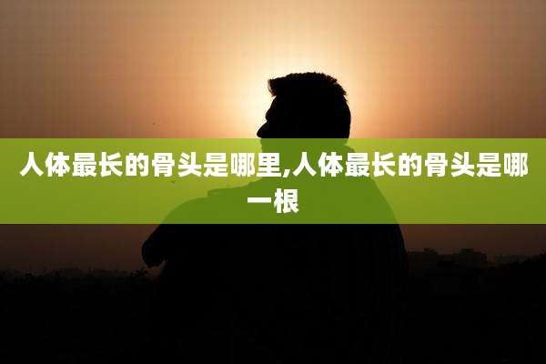 人体最长的骨头是哪里,人体最长的骨头是哪一根