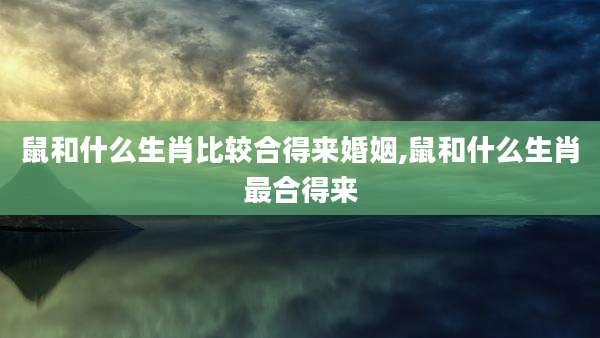 鼠和什么生肖比较合得来婚姻,鼠和什么生肖最合得来