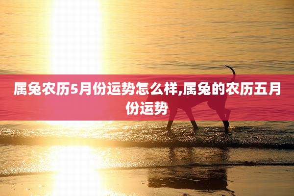 属兔农历5月份运势怎么样,属兔的农历五月份运势