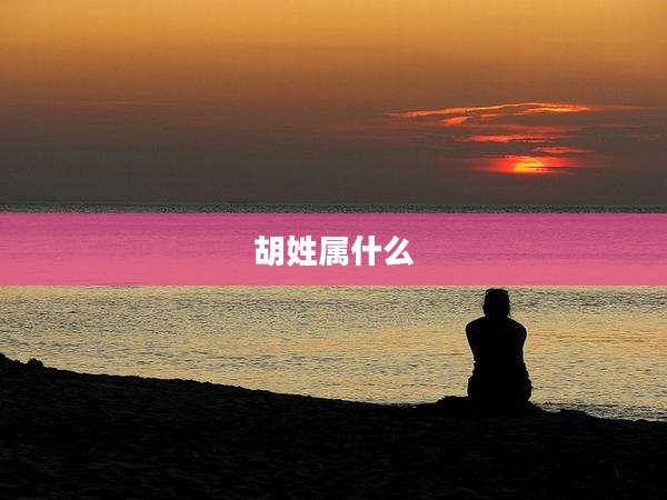 胡姓属什么