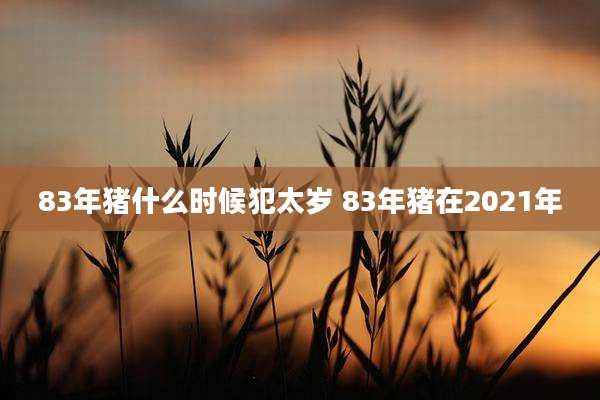 83年猪什么时候犯太岁 83年猪在2021年