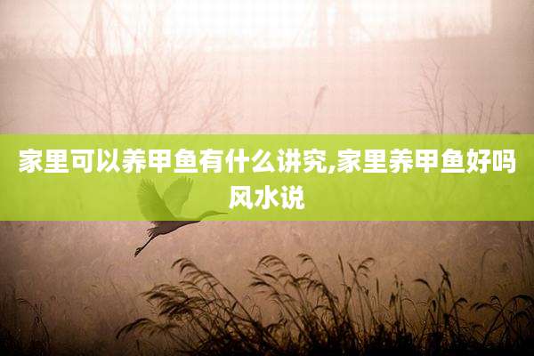 家里可以养甲鱼有什么讲究,家里养甲鱼好吗风水说