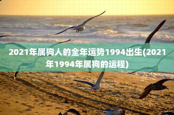 2021年属狗人的全年运势1994出生(2021年1994年属狗的运程)