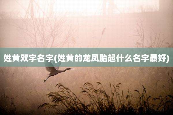 姓黄双字名字(姓黄的龙凤胎起什么名字最好)