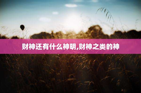 财神还有什么神明,财神之类的神
