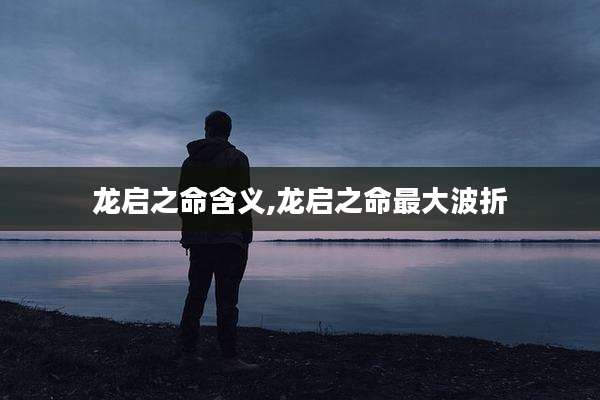龙启之命含义,龙启之命最***折