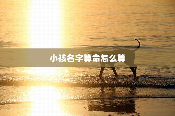 小孩名字算命怎么算
