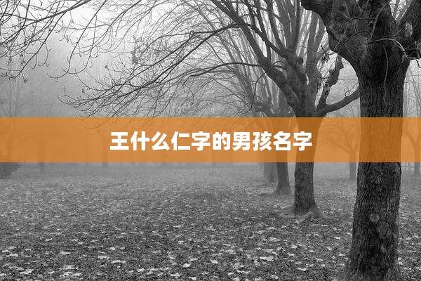 王什么仁字的男孩名字