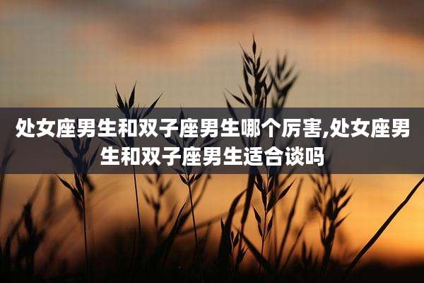 处女座男生和双子座男生哪个厉害,处女座男生和双子座男生适合谈吗