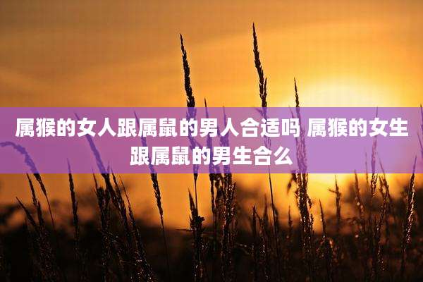 属猴的女人跟属鼠的男人合适吗 属猴的女生跟属鼠的男生合么