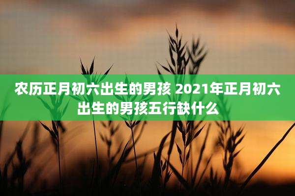 农历正月初六出生的男孩 2021年正月初六出生的男孩五行缺什么