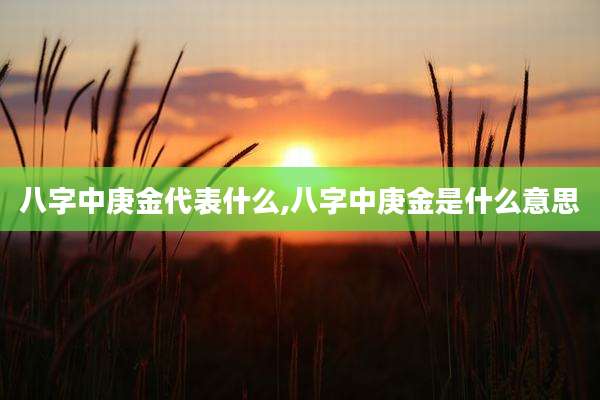 八字中庚金代表什么,八字中庚金是什么意思