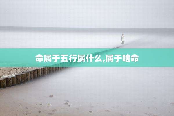命属于五行属什么,属于啥命