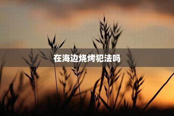 在海边烧烤犯法吗