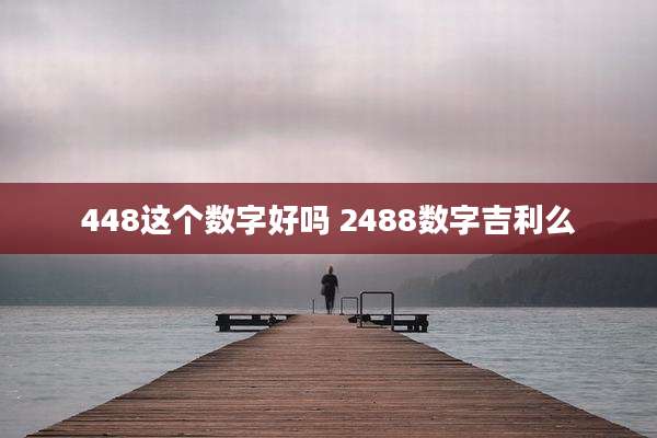 448这个数字好吗 2488数字吉利么