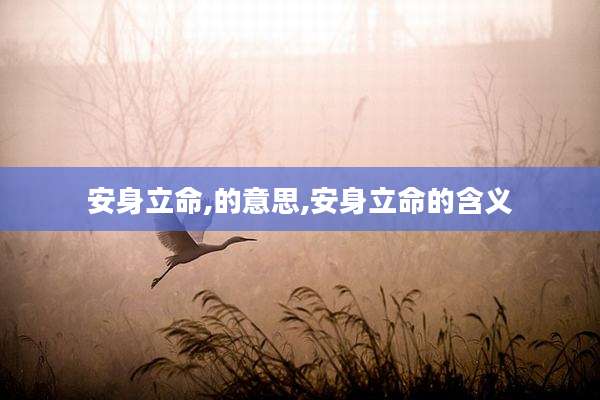 安身立命,的意思,安身立命的含义