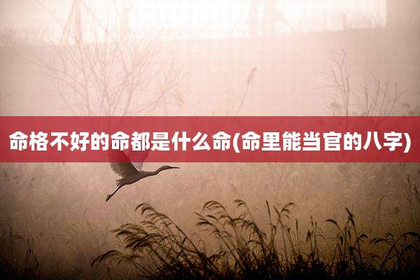 命格不好的命都是什么命(命里能当官的八字)