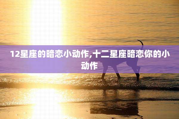 12星座的暗恋小动作,十二星座暗恋你的小动作