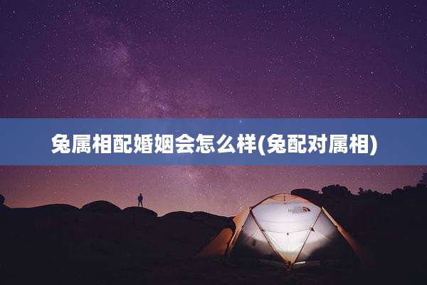兔属相配婚姻会怎么样(兔配对属相)
