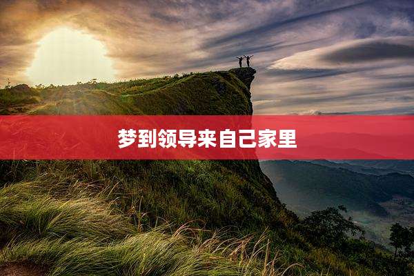 梦到领导来自己家里