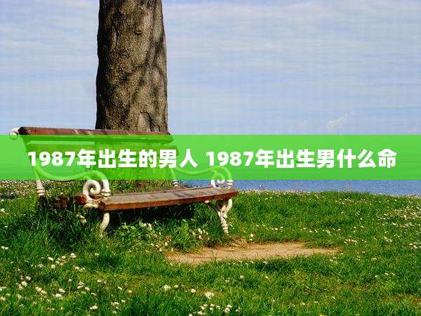 1987年出生的男人 1987年出生男什么命