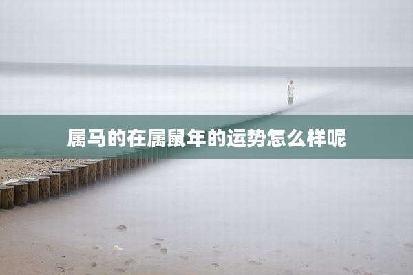 属马的在属鼠年的运势怎么样呢