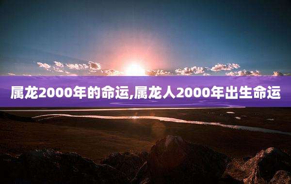 属龙2000年的命运,属龙人2000年出生命运