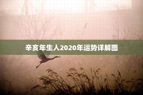 辛亥年生人2020年运势详解图