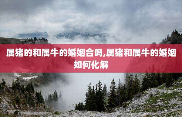 属猪的和属牛的婚姻合吗,属猪和属牛的婚姻如何化解