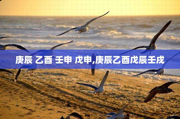 庚辰 乙酉 壬申 戊申,庚辰乙酉戊辰壬戌