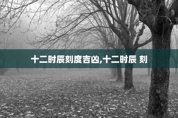 十二时辰刻度吉凶,十二时辰 刻