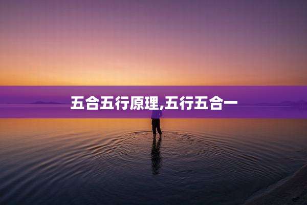 五合五行原理,五行五合一