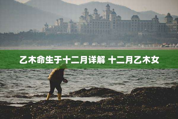 乙木命生于十二月详解 十二月乙木女
