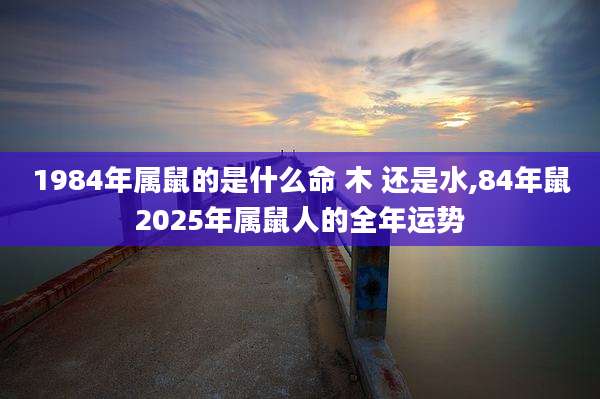 1984年属鼠的是什么命 木 还是水,84年鼠2025年属鼠人的全年运势