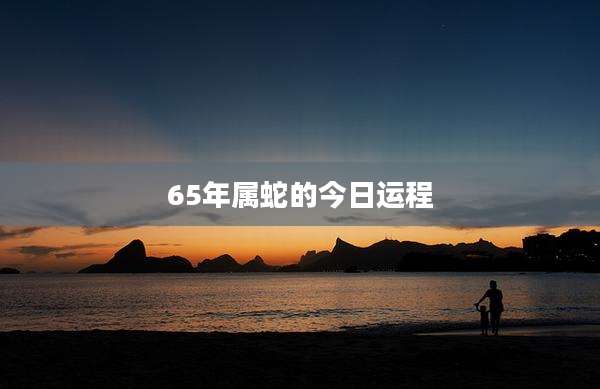 65年属蛇的今日运程