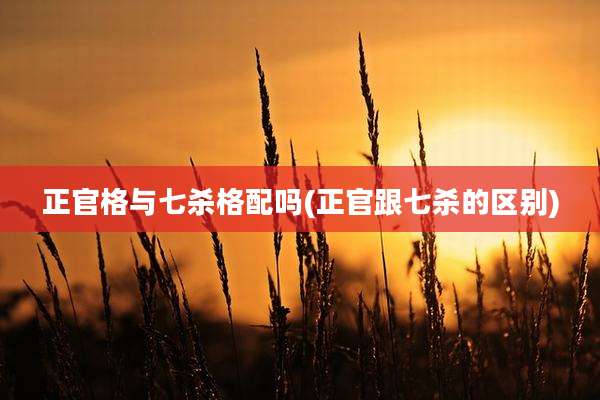 正官格与七杀格配吗(正官跟七杀的区别)