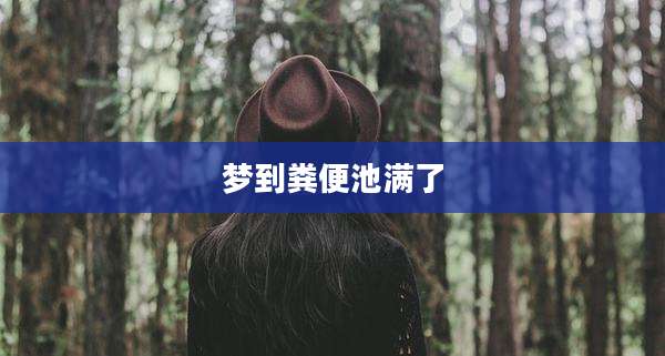 梦到粪便池满了