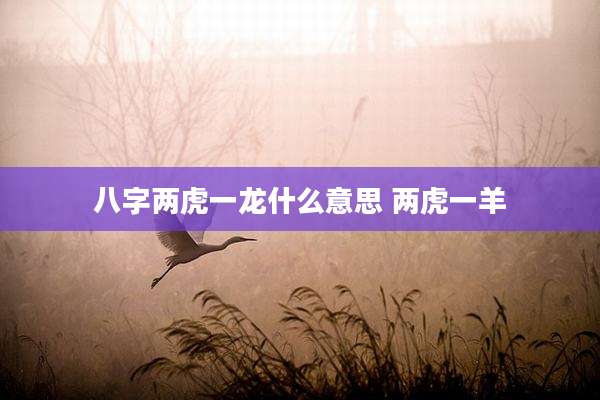 八字两虎一龙什么意思 两虎一羊