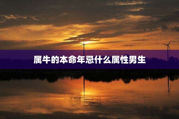 属牛的本命年忌什么属性男生