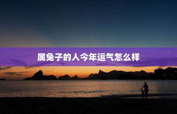 属兔子的人今年运气怎么样