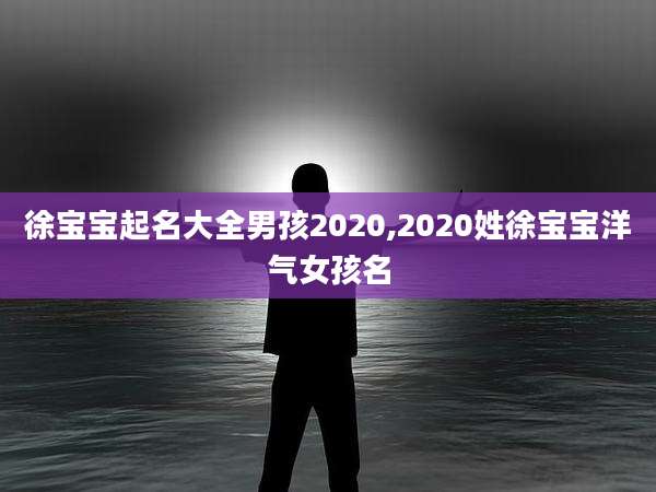 徐宝宝起名大全男孩2020,2020姓徐宝宝洋气女孩名