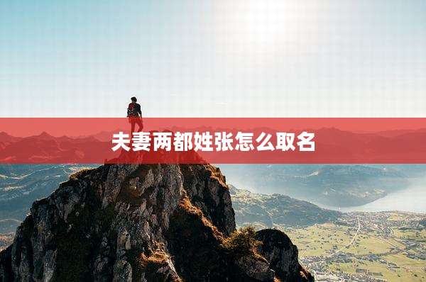 夫妻两都姓张怎么取名