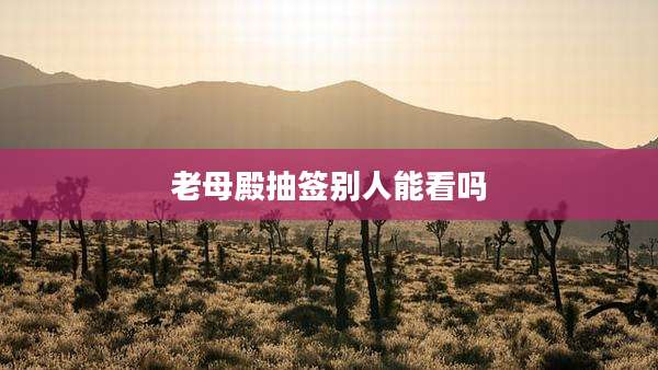 老母殿抽签别人能看吗