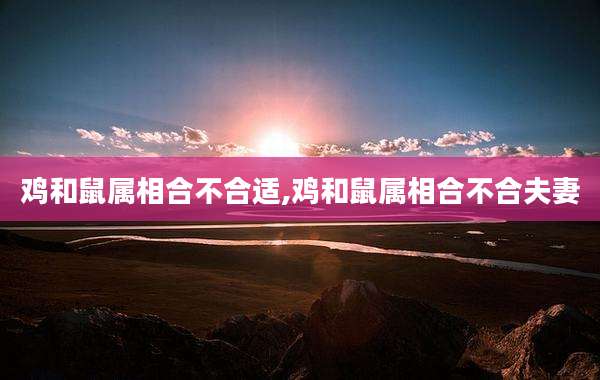 鸡和鼠属相合不合适,鸡和鼠属相合不合夫妻