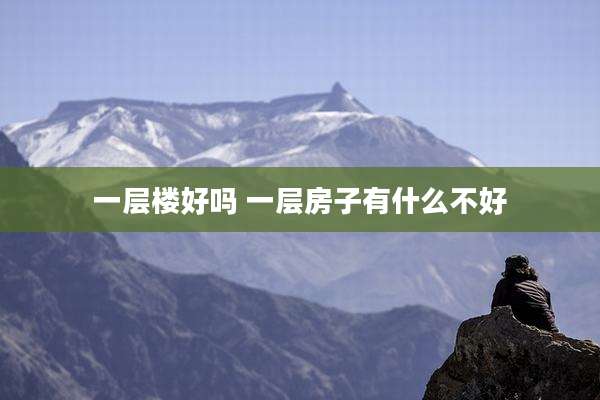 一层楼好吗 一层房子有什么不好