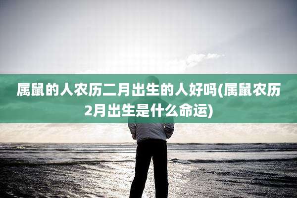 属鼠的人农历二月出生的人好吗(属鼠农历2月出生是什么命运)