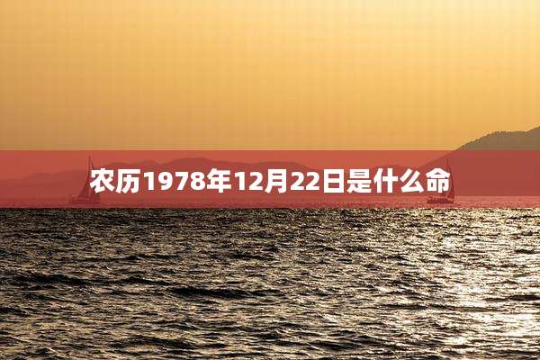 农历1978年12月22日是什么命