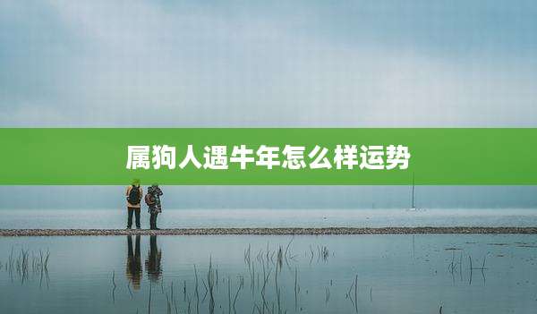 属狗人遇牛年怎么样运势